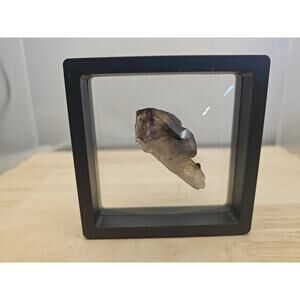 TOP ! GEM SMOKY SCEPTER AMETHYST CRYSTAL W/PHANTOM - FROM BRANDBERG,NAMIBIA